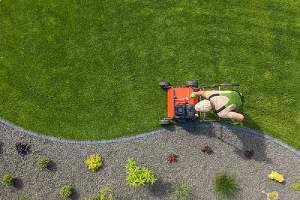 Backyard Grass Field Maintenance. Landscaping trends concept